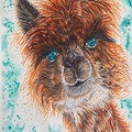 Sell Artworks: Loretta the Loveable Llama