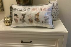 Selling with online payment: Pottery Barn SET Pillow+case Snoopy pumpkin halloween Charlie Bro