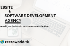 Offer Product/ Services: Website and Software Application Development