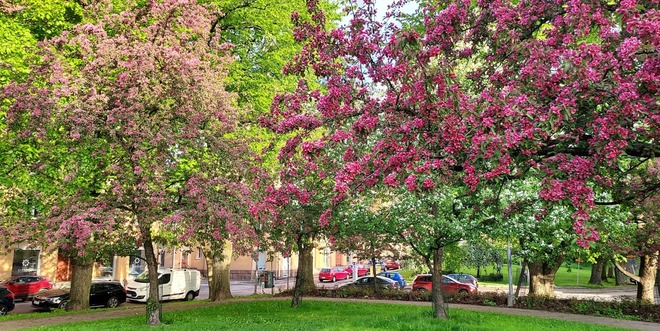 Keitele Co-Working, shared working place in beautiful Vallila 