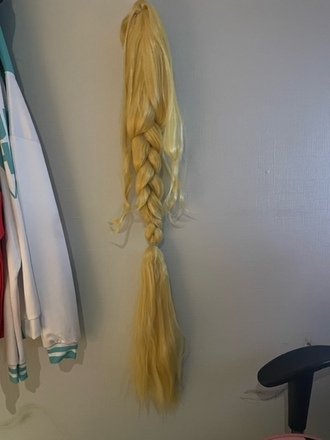 Long Blonde Wig