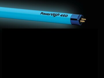 Post Now: PowerVEG T5 4' 460 Blue Grow Light
