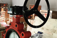 Product: WTV gear operated butterfly valves