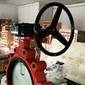 Product: WTV gear operated butterfly valves