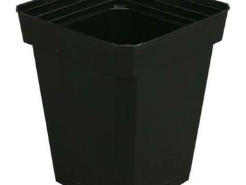 Post Now: Gro Pro Black Plastic Pot 5 in x 5 in x 6.5 in