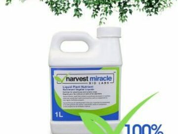 Post Now: Harvest Miracle 1L (Liquid Plant Nutrient)
