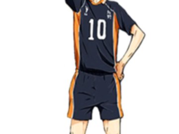 Selling with online payment: Hinata Haikyuu