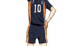 Selling with online payment: Hinata Haikyuu