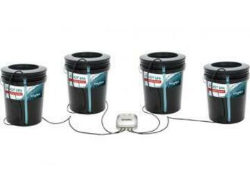 Post Now: ROOT SPA 4 BUCKET SYSTEM