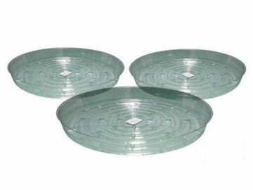 Post Now: 10" Clear Saucer