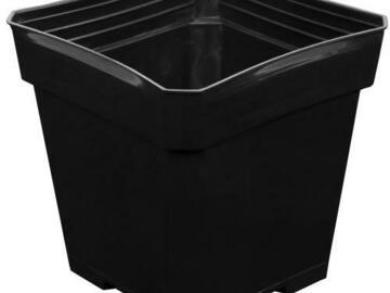 Post Now: Gro Pro Black Plastic Pot 5.5 in x 5.5 in x 5.75 in (200/Cs)