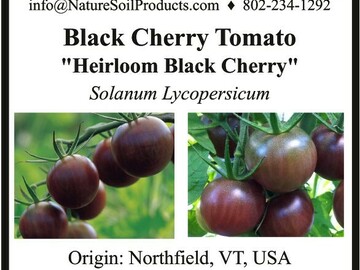 pay online only: Black Cherry Tomato