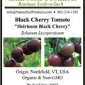 pay online only: Black Cherry Tomato