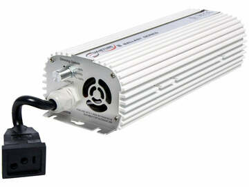Post Now: Quantum 600W Digital Ballast, 120/240V Dimmable