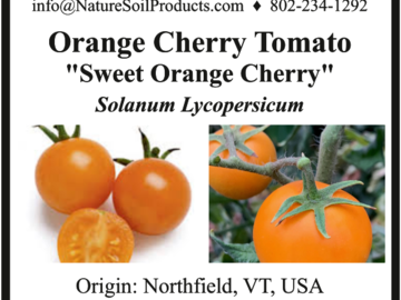 pay online only: sweet Orange Cherry Tomato