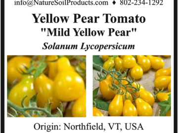 pay online only: Mild Yellow Pear Tomato