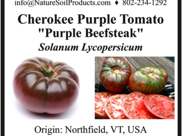 pay online only: Cherokee Purple Beefsteak Tomato