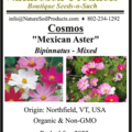 pay online only: Cosmos bipinnatus