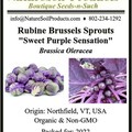 pay online only: BRUSSELS SPROUTS - Rubine Red - OUT OF STOCK