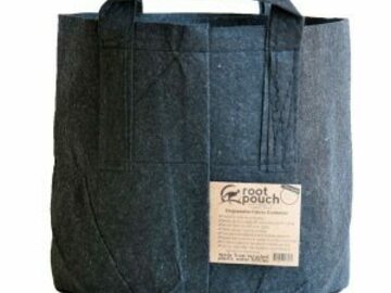 Post Now: Root Pouch 10 Gal With Handles