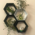 Comprar ahora: Hexagon Shelf Home Decor Kids Room Shelves Modern style Plastic