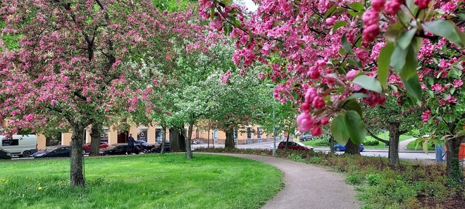 Keitele Co-Working, shared working place in beautiful Vallila 