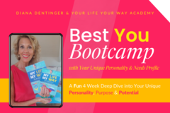 Product: Best You Bootcamp with Your Personality & Needs Profile