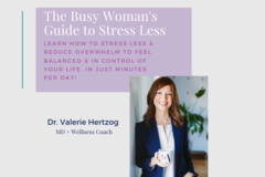 Product: The Busy Woman's Guide to Stress Less