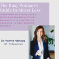 Product: The Busy Woman's Guide to Stress Less