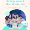 Product: Birthing Mama & Mind Membership