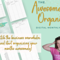 Product: The Awesomely Organised Business Planner