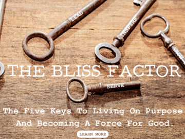 Product: The Bliss Factor