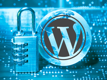 For purchase or set price (NON-HOURLY): Securing your Wordpress website