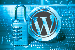 Aankoop vaste prijs: Securing your Wordpress website