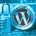 For purchase or set price (NON-HOURLY): Securing your Wordpress website