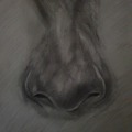 Sell Artworks: The nose