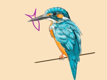 Tattoo design: Colour kingfisher and linework fish 