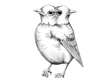 Tattoo design: Double-headed bird design 