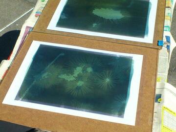 Workshop Angebot (Termine): Cyanotypie - malen mit Licht