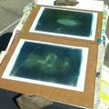 Workshop Angebot (Termine): Cyanotypie - malen mit Licht