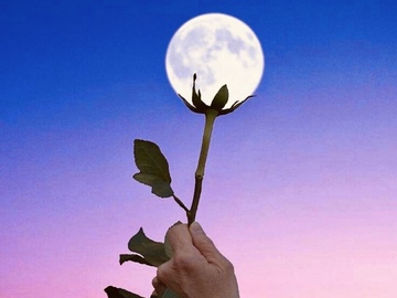 Selling: FLOWER FULL MOON ECLIPSE CEREMONY