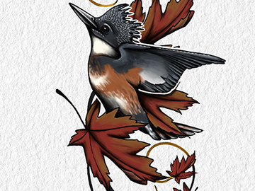 Tattoo design: Belted kingfisher 