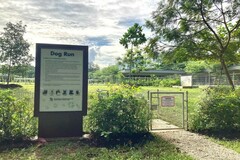 Information: East Coast Park Dog Run