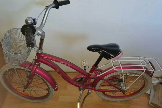 20 inch shop our generation bike