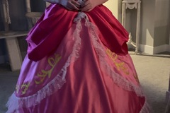 Selling with online payment: Princess Peach Dress