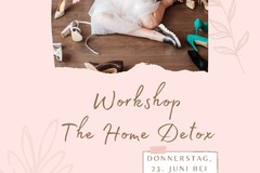 Workshop Angebot (Termine): Workshop: "The Home Detox - leichter wohnen"