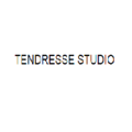 Työhuoneprofiili: Tendresse Studio