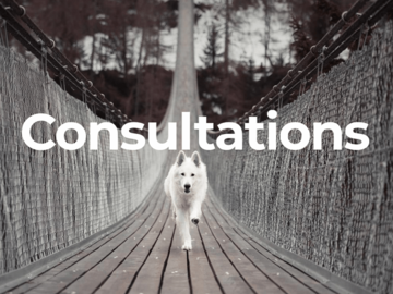 Paga lo que quieras: Natural Dog Care Consultations