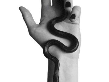 Tattoo design: Hand and serpent