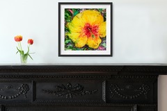 Sell Artworks: Baby Hibiscus